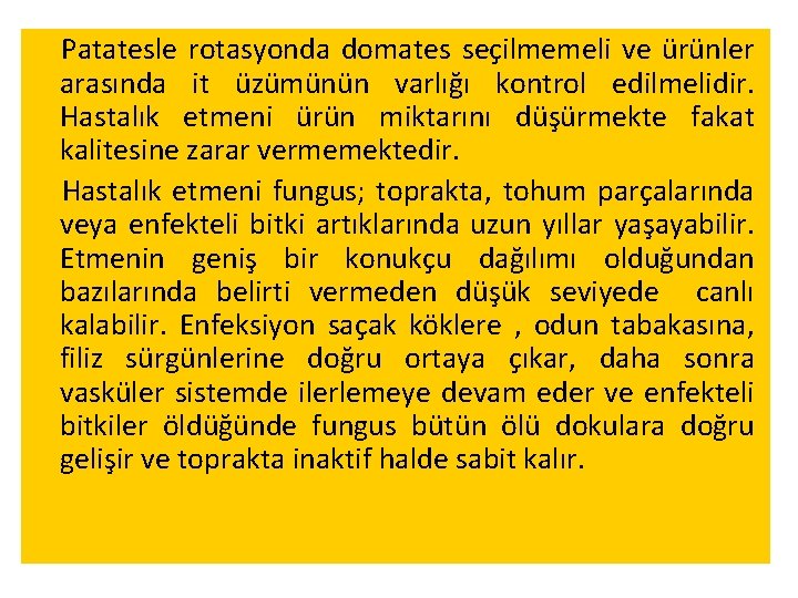 Patatesle rotasyonda domates seçilmemeli ve ürünler arasında it üzümünün varlığı kontrol edilmelidir. Hastalık etmeni