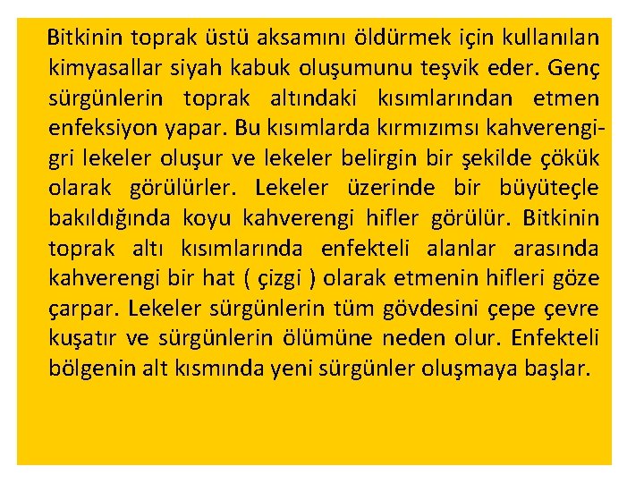 Bitkinin toprak üstü aksamını öldürmek için kullanılan kimyasallar siyah kabuk oluşumunu teşvik eder. Genç