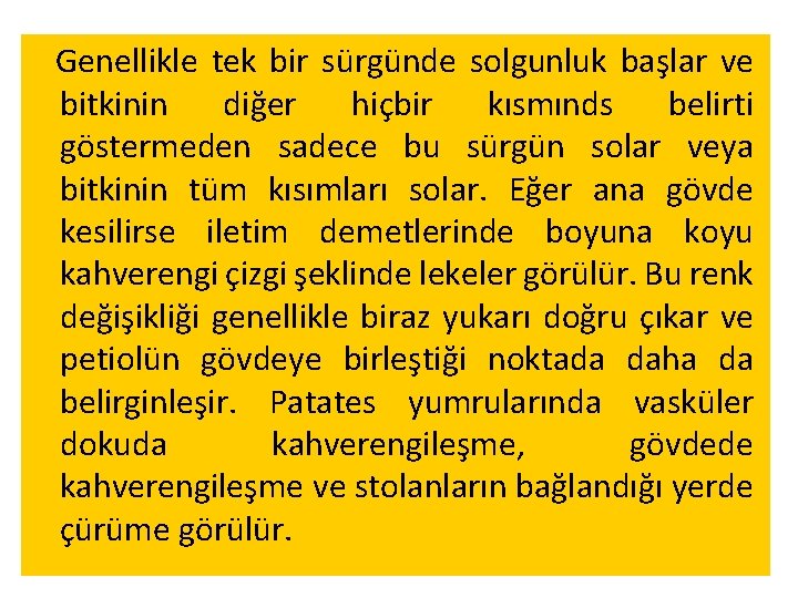 Genellikle tek bir sürgünde solgunluk başlar ve bitkinin diğer hiçbir kısmınds belirti göstermeden sadece