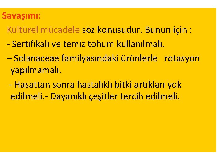 Savaşımı: Kültürel mücadele söz konusudur. Bunun için : - Sertifikalı ve temiz tohum kullanılmalı.