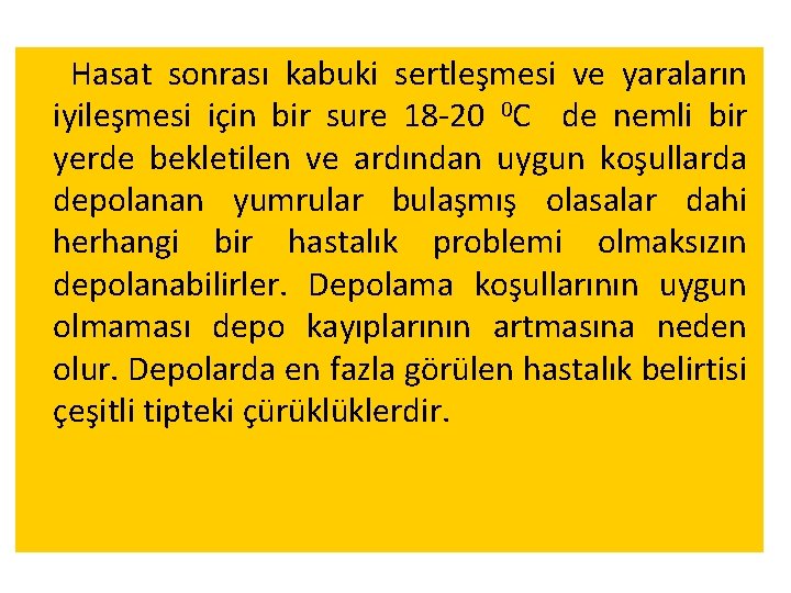 Hasat sonrası kabuki sertleşmesi ve yaraların iyileşmesi için bir sure 18 -20 0 C