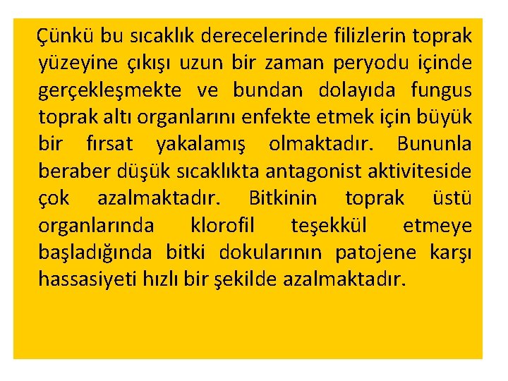 Çünkü bu sıcaklık derecelerinde filizlerin toprak yüzeyine çıkışı uzun bir zaman peryodu içinde gerçekleşmekte