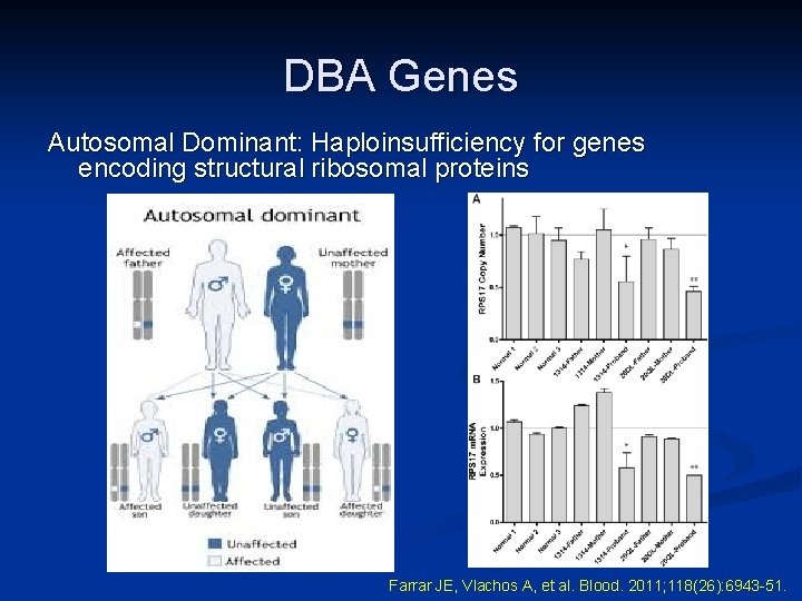 DBA Genes Autosomal Dominant: Haploinsufficiency for genes encoding structural ribosomal proteins Farrar JE, Vlachos