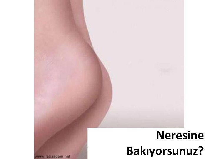 Neresine Bakıyorsunuz? 