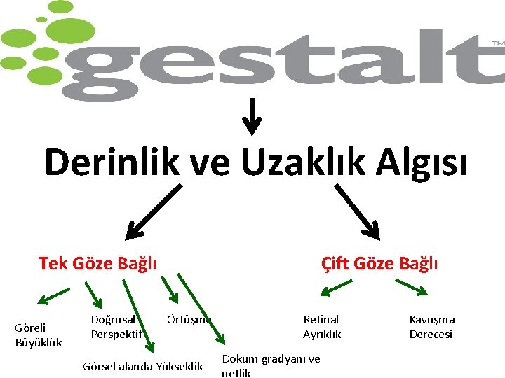 Derinlik ve Uzaklık Algısı Tek Göze Bağlı Göreli Büyüklük Doğrusal Perspektif Çift Göze Bağlı