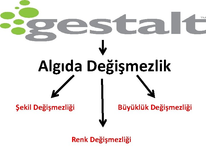 Algıda Değişmezlik Şekil Değişmezliği Büyüklük Değişmezliği Renk Değişmezliği 