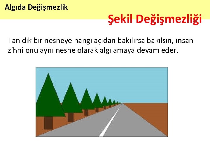 Algıda Değişmezlik Şekil Değişmezliği Tanıdık bir nesneye hangi açıdan bakılırsa bakılsın, insan zihni onu