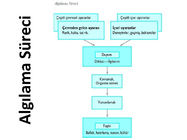 Algılama Süreci 