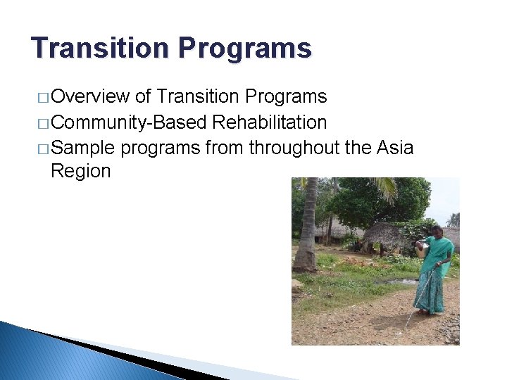 Transition Programs � Overview of Transition Programs � Community-Based Rehabilitation � Sample programs from