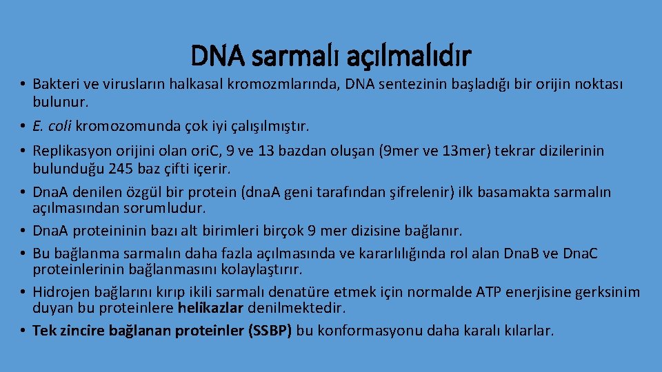 DNA sarmalı açılmalıdır • Bakteri ve virusların halkasal kromozmlarında, DNA sentezinin başladığı bir orijin