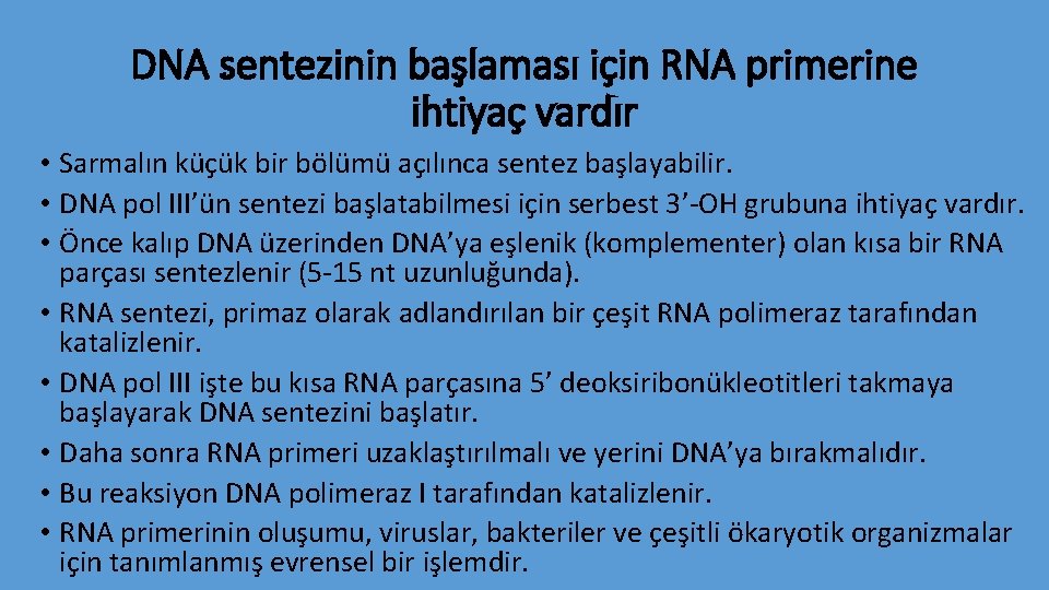 DNA sentezinin başlaması için RNA primerine ihtiyaç vardır • Sarmalın küçük bir bölümü açılınca