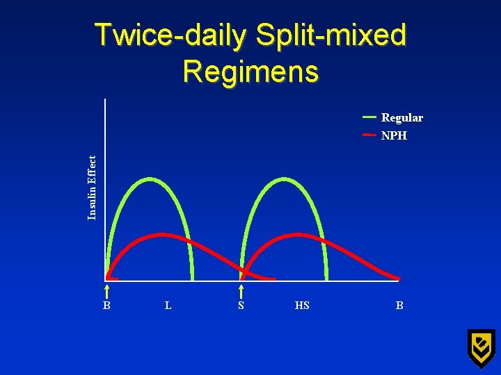 Twice-daily Split-mixed Regimens Insulin Effect Regular NPH B L S HS B 