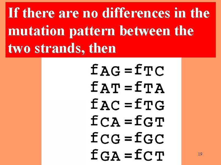 If there are no differences in the mutation pattern between the two strands, then