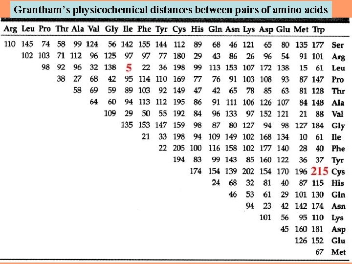 Grantham’s physicochemical distances between pairs of amino acids 25 