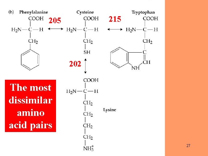 215 202 The most dissimilar amino acid pairs 27 
