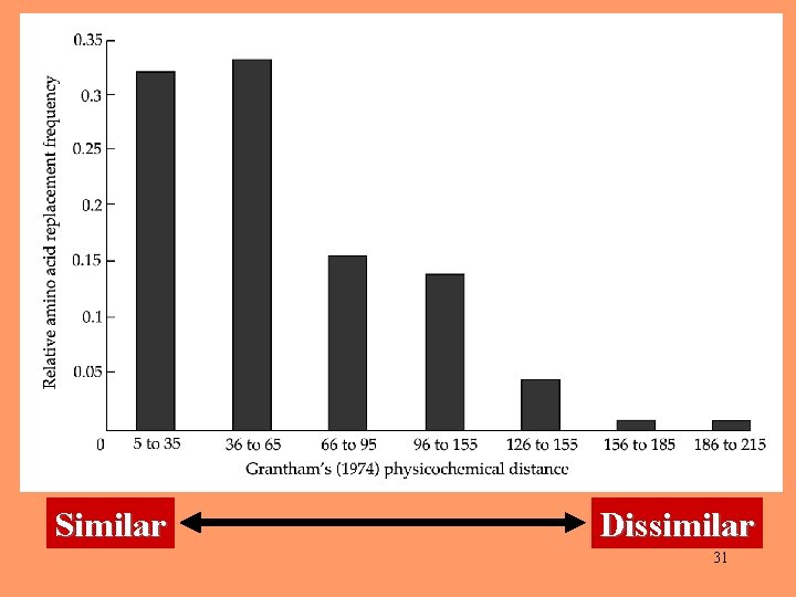 Similar Dissimilar 31 