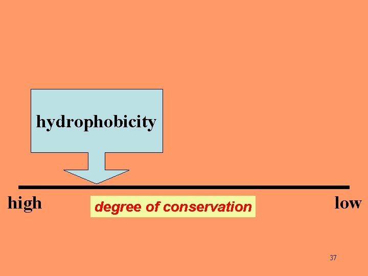 hydrophobicity high degree of conservation low 37 