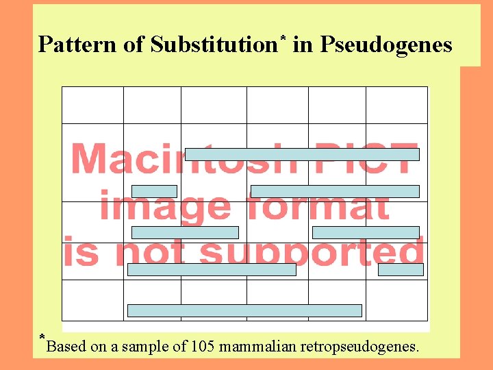 Pattern of Substitution* in Pseudogenes *Based on a sample of 105 mammalian retropseudogenes. 6