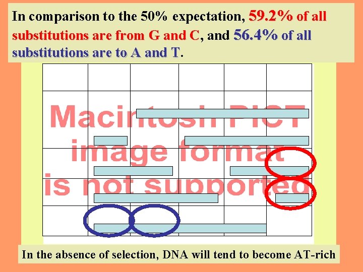 In comparison to the 50% expectation, 59. 2% of all substitutions are from G