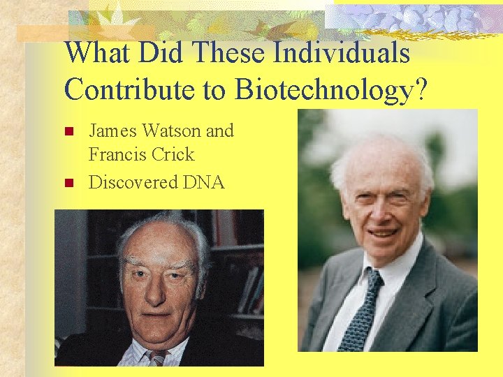 What Did These Individuals Contribute to Biotechnology? n n James Watson and Francis Crick