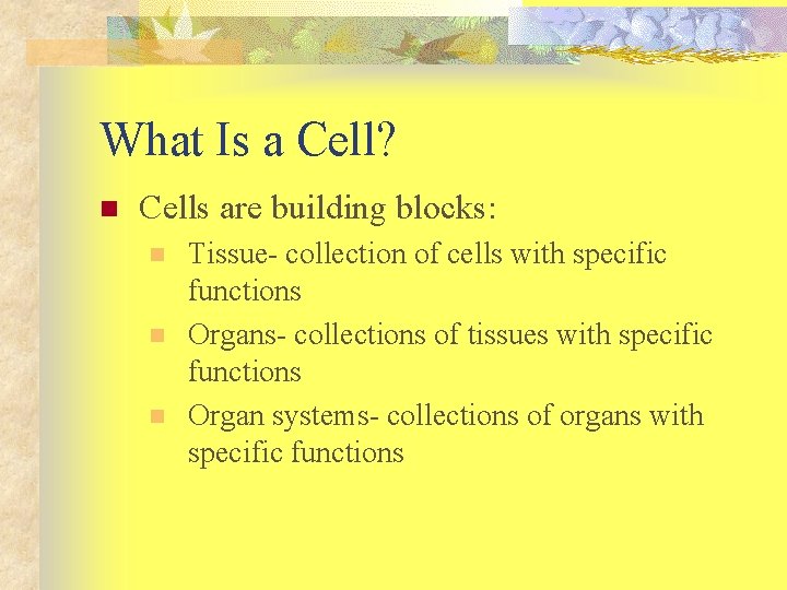 What Is a Cell? n Cells are building blocks: n n n Tissue- collection