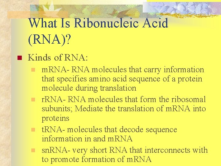 What Is Ribonucleic Acid (RNA)? n Kinds of RNA: n n m. RNA- RNA