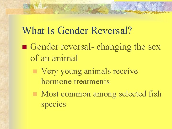 What Is Gender Reversal? n Gender reversal- changing the sex of an animal n