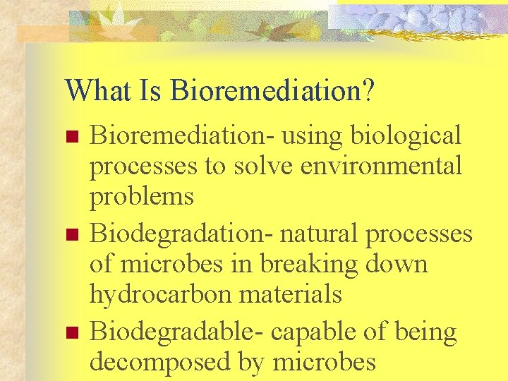What Is Bioremediation? n n n Bioremediation- using biological processes to solve environmental problems