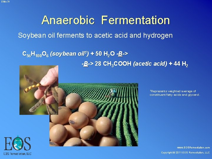 Slide 31 Anaerobic Fermentation Soybean oil ferments to acetic acid and hydrogen C Slide 31 Anaerobic Fermentation Soybean oil ferments to acetic acid and hydrogen C