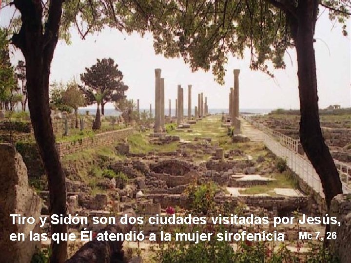 Tiro y Sidón son dos ciudades visitadas por Jesús, en las que Él atendió