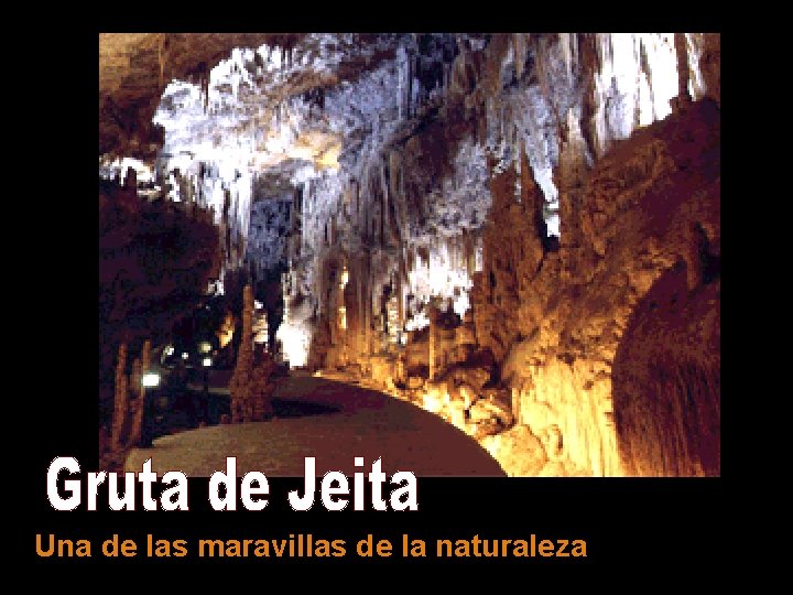Una de las maravillas de la naturaleza 