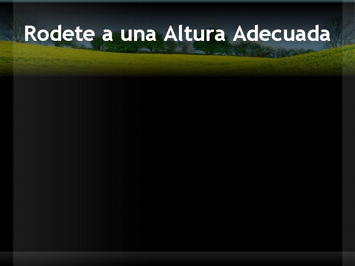 Rodete a una Altura Adecuada 