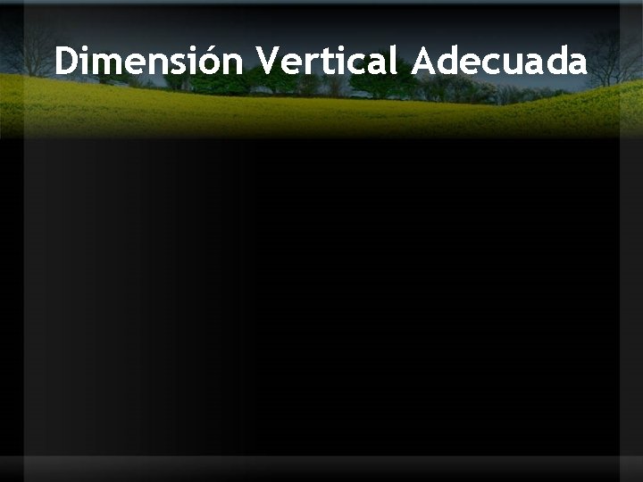 Dimensión Vertical Adecuada 