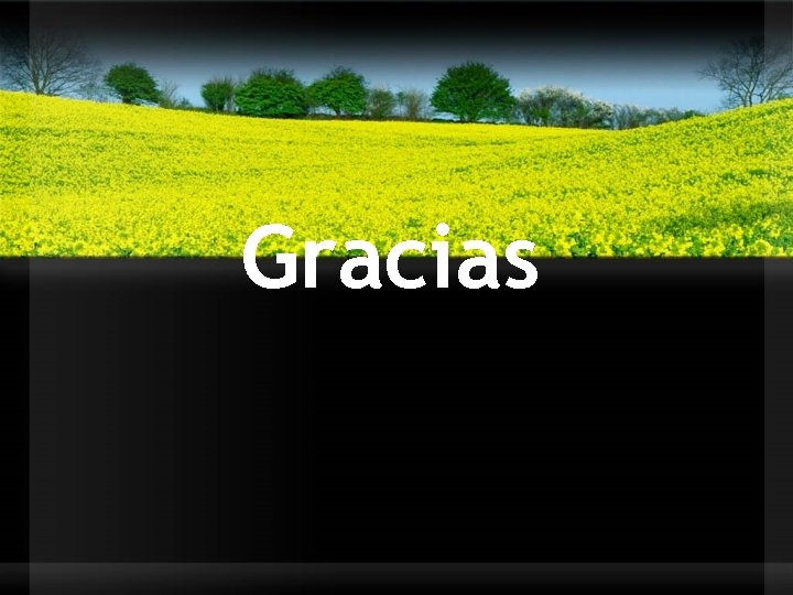 Gracias 