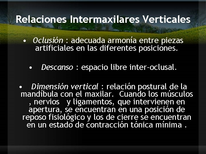 Relaciones Intermaxilares Verticales • Oclusión : adecuada armonía entre piezas artificiales en las diferentes