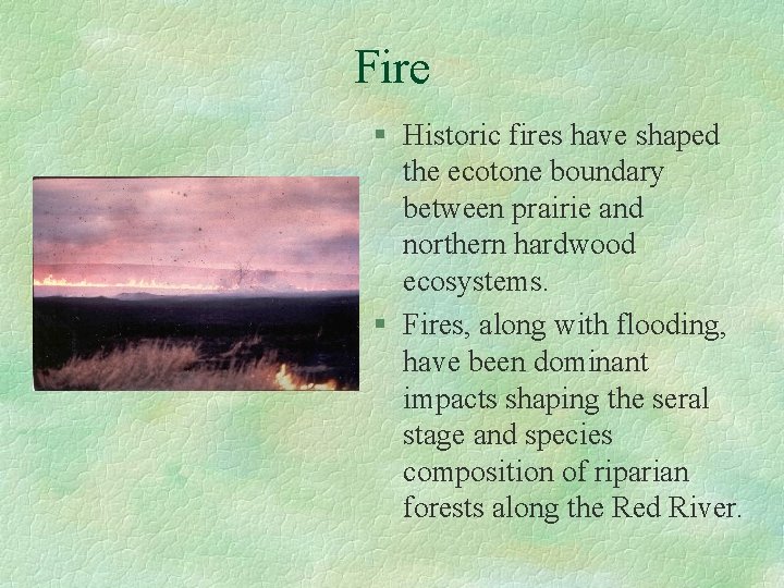 Fire § Historic fires have shaped the ecotone boundary between prairie and northern hardwood
