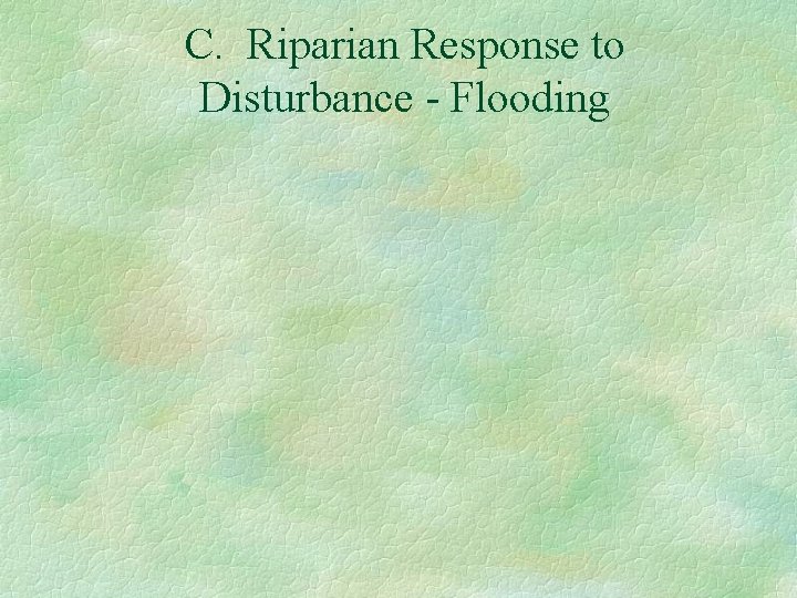 C. Riparian Response to Disturbance - Flooding 