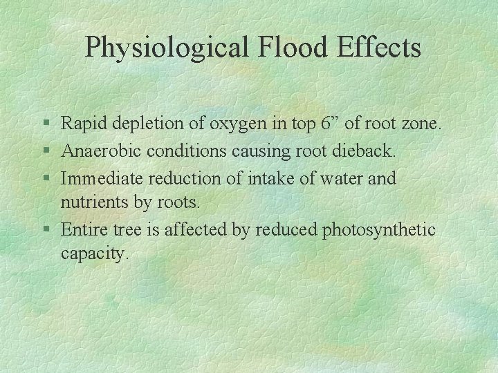 Physiological Flood Effects § Rapid depletion of oxygen in top 6” of root zone.