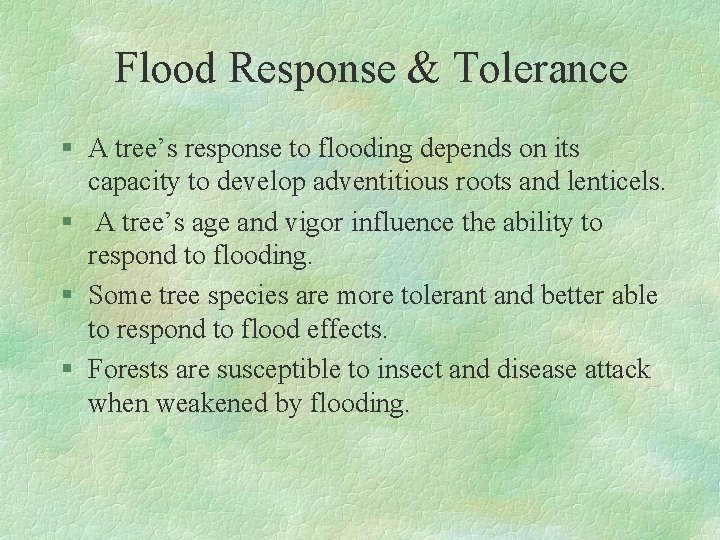 Flood Response & Tolerance § A tree’s response to flooding depends on its capacity