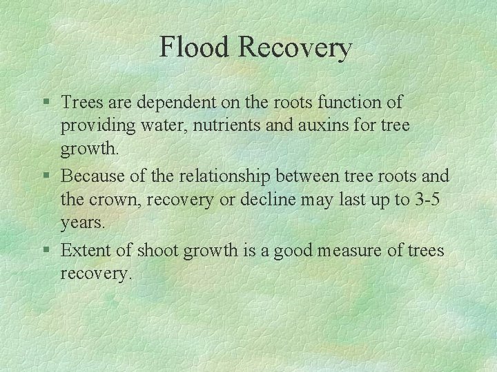 Flood Recovery § Trees are dependent on the roots function of providing water, nutrients