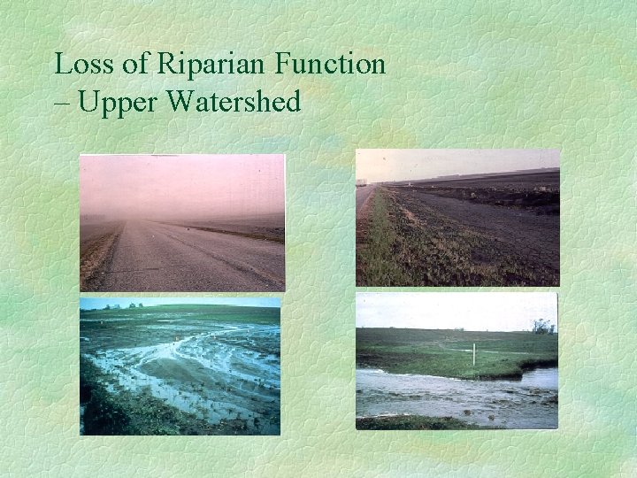 Loss of Riparian Function – Upper Watershed 