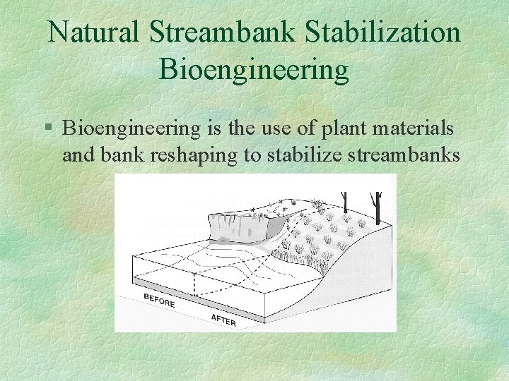 Natural Streambank Stabilization Bioengineering § Bioengineering is the use of plant materials and bank