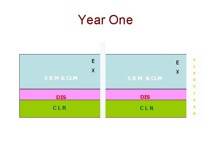 Year One E E X X S B M & CLM DIS CLR E