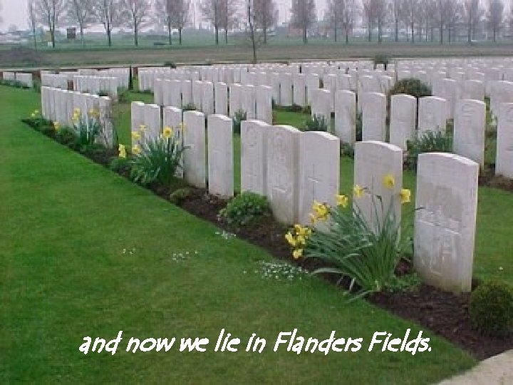 and now we lie in Flanders Fields. 