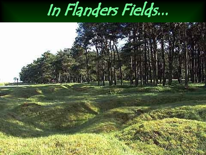 In Flanders Fields. . . 