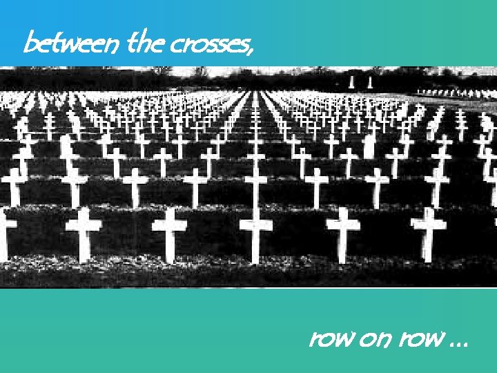 between the crosses, row on row. . . 