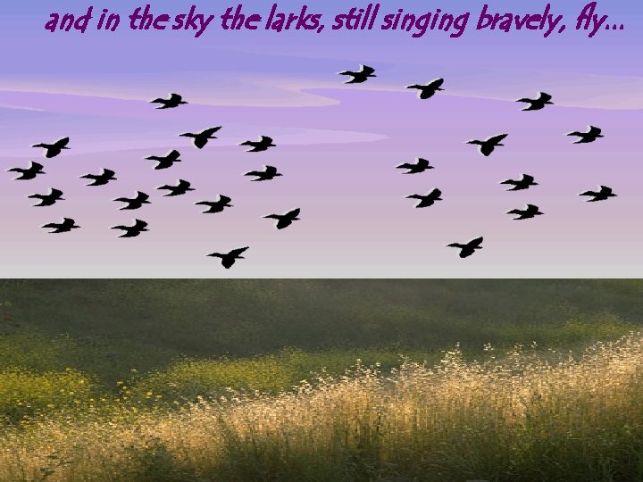 and in the sky the larks, still singing bravely, fly. . . 