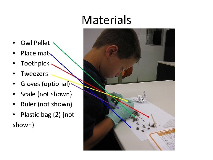 Materials • Owl Pellet • Place mat • Toothpick • Tweezers • Gloves (optional)
