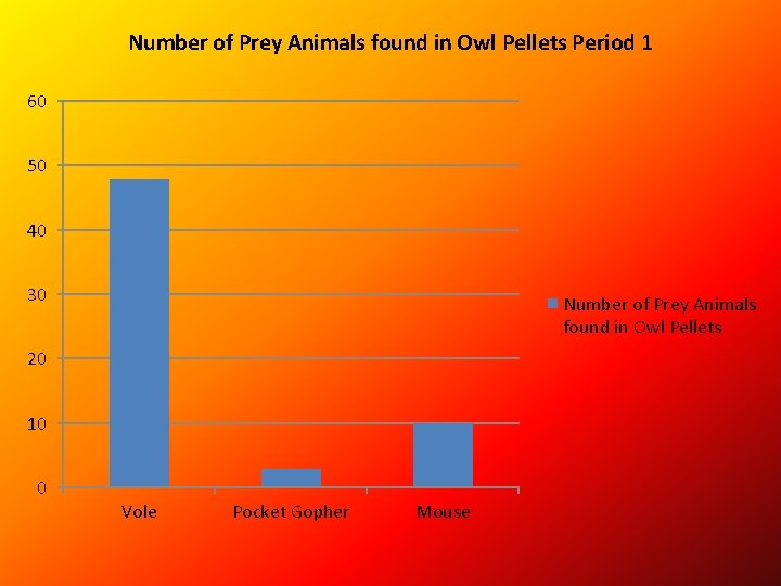 Number of Prey Animals found in Owl Pellets Period 1 60 50 40 30
