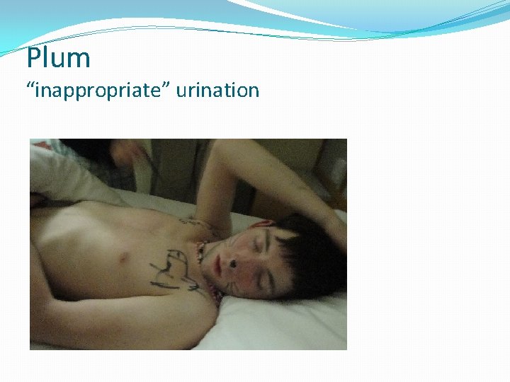 Plum “inappropriate” urination 